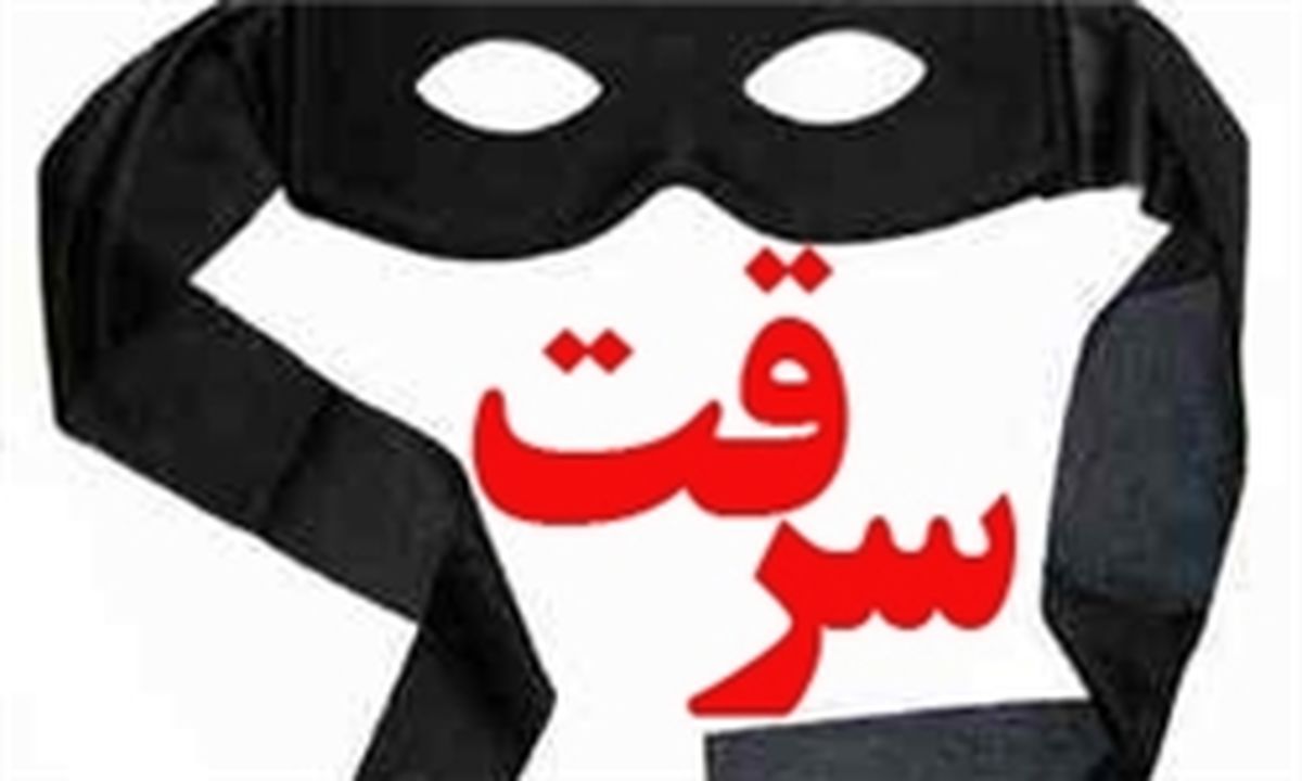 12 فقره انواع سرقت در پاکدشت کشف شد