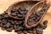 حسرت بچه‌دار شدن با مصرف افراطی کاکائو