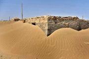 خاک هامون بلای جان مردم سیستان/ عکس