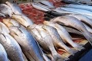 قیمت انواع ماهی ۳ خرداد ۱۴۰۳+ جدول
