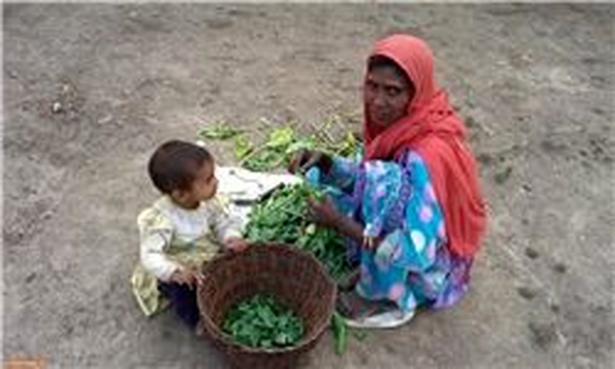 واکنش سازمان ملل به توافق دولت‌های میانمار و بنگلادش