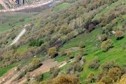 رانش زمین در محدوده روستای احمد آباد سروآباد باعث قطعی گاز مریوان و سروآباد شد