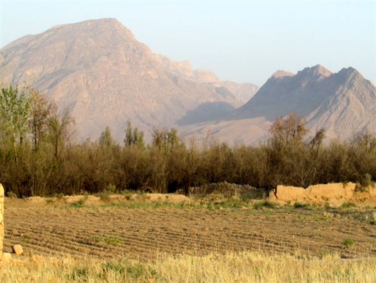 باغ های تزنگ سروستان در مسیر نابودی