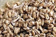 این میان وعده مقوی و خوشمزه را فراموش نکنید 