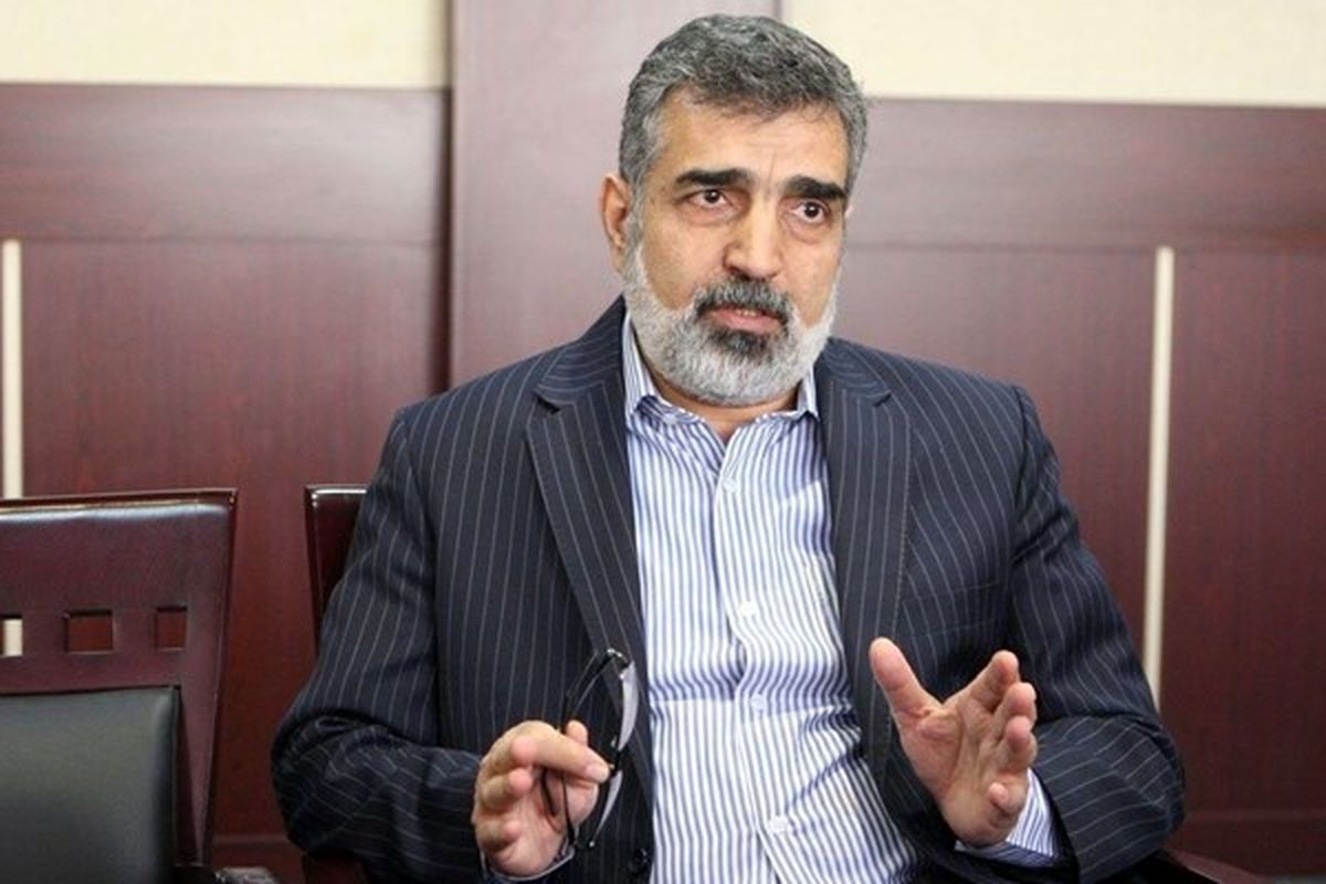کمالوندی: بازرسی‌های فراپادمانی آژانس متوقف شده است