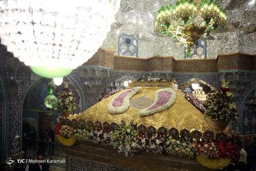 گل آرایی ضریح مطهر حضرت معصومه(س)/ گزارش تصویری 