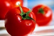 وقتی قاچاقچیان به گوجه هم رحم نمی کنند!/ توقیف 22 تن گوجه فرنگی قاچاق
