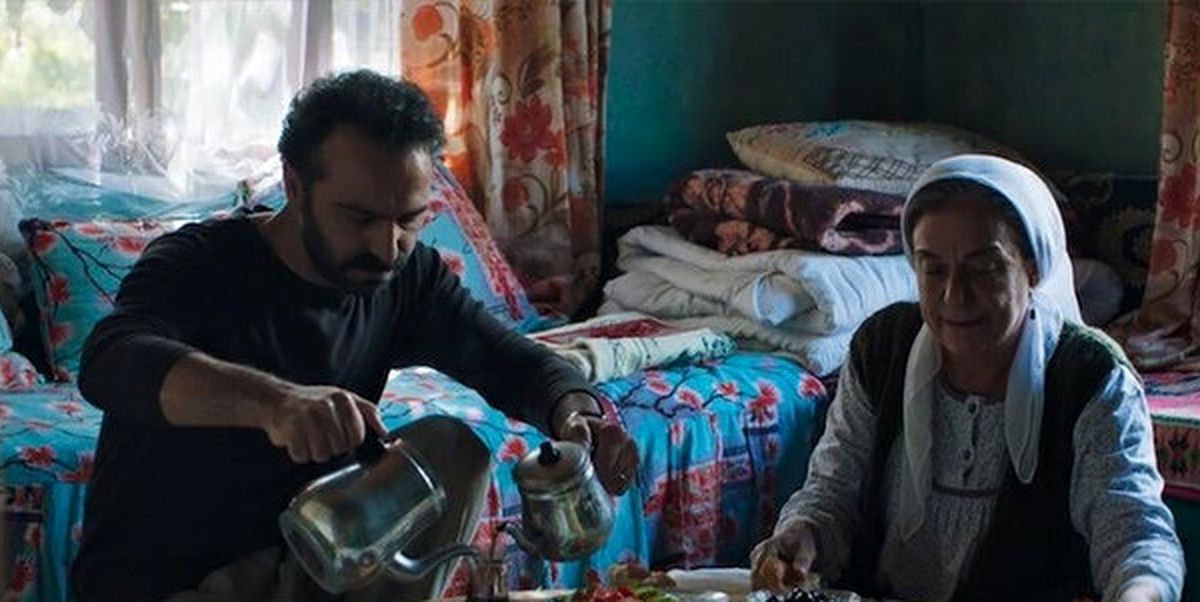 «درخت خاموش» روی پرده سینماهای کشور