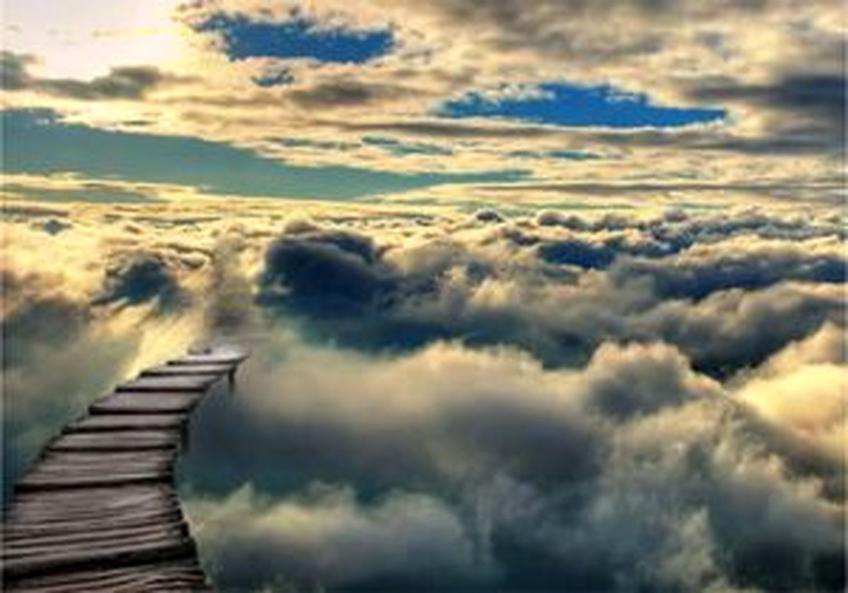 حیوانات مسخ‌ شده کدامند؟