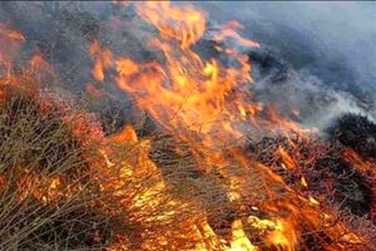 تلاش برای التهاب‌آفرینی در کردستان