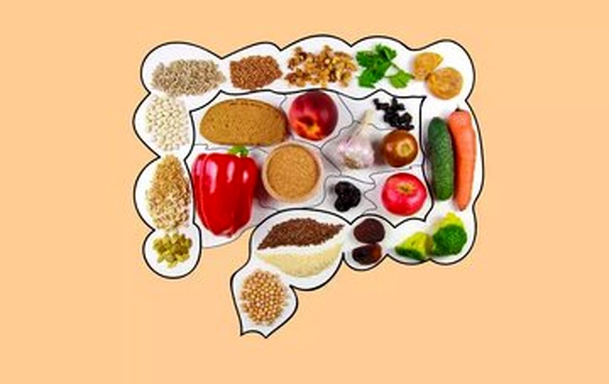 خطر رژیم غذایی پرچرب برای سیستم ایمنی روده