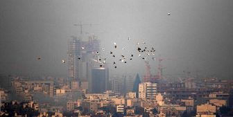 بارش برف و باران در این 15 استان