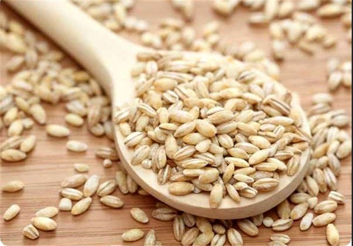 نقش جو در زنجیره غذایی
