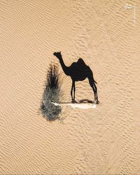 4524612