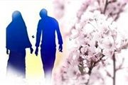چند راهکار موثر و ساده برای حل مشکلات خانوادگی