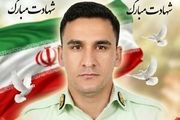 اولین تصویر از شهید حادثه تروریستی زاهدان