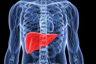 مواد غذایی بسیار مضر برای کبد