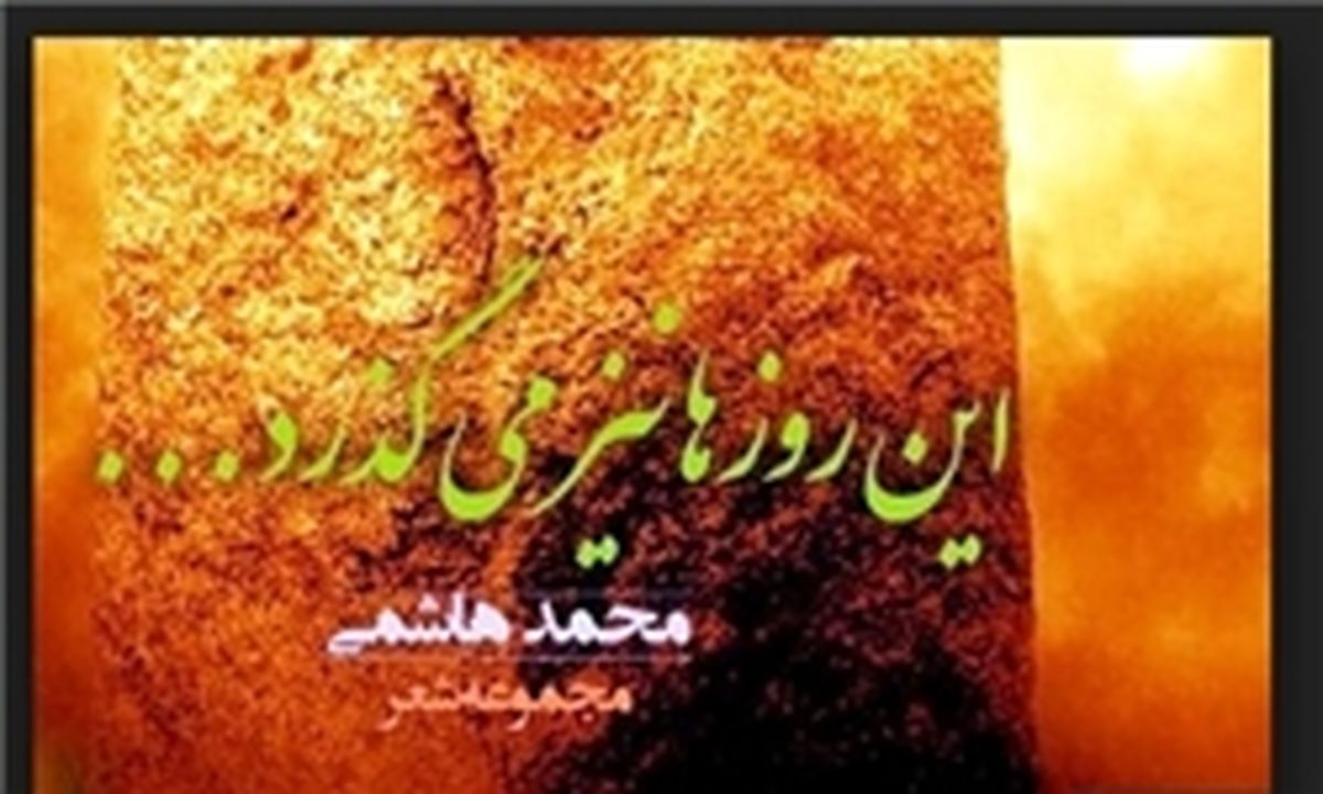 مهدوی: ایران به تعداد همه کشورهای جهان شاعر دارد