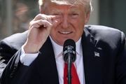 ترامپ: 99 درصد پلیس ها آدم های بسیار بسیار خوبی هستند!/ فیلم