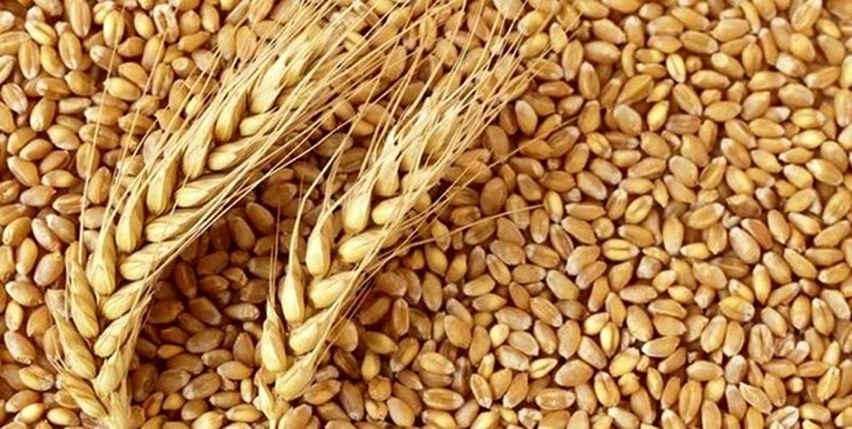 بحران غذایی در جهان با درگیری بین روسیه و اوکراین 