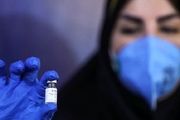 بازتاب نخستین تست انسانی واکسن ایرانی کرونا در رسانه‌های جهان