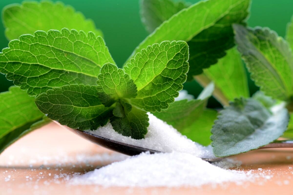 گیاهی مفید برای دیابتی‌ها