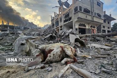 جنایات رژیم اسرائیل در غزه/گزارش تصویری