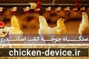خبر خوش ایران در بین سه تولید کننده برتر دستگاه جوجه کشی در دنیا

