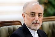 به راحتی می‌توانیم به وضعیت قبل از برجام بازگردیم

