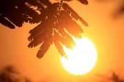 
ثبت دمای بالای ۵۰ درجه در ۶ شهر ایران/ثبت رکورد گرما در شبانکاره؛ دمای ۵۴.۲ درجه