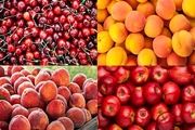 میوه های نوبرانه ارزان شد+لیست قیمت میوه ها