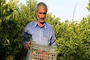 ابداع روش های منحصر به فرد کشاورزی توسط نخبه ای که سواد خواندن و نوشتن ندارد
