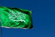 عربستان سعودی رسما به عضویت بریکس درآمد