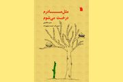 مثل مادرم درخت می‌شوم…