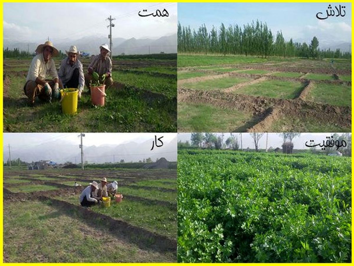 حمایت همه جانبه ی مسئولین نیاز اصلی کار آفرینان