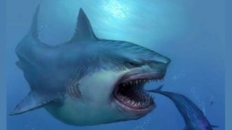 موجودات اساطیری شگفت انگیز در فرهنگ هندوها