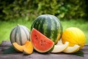 مشخصات طالبی، خربزه و هندوانه سالم و شیرین