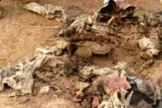 کشف پیکر یک شهید دفاع مقدس در منطقه مرزی نفت شهر کرمانشاه