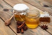 مزرعه پرورش زنبور عسل پورشه