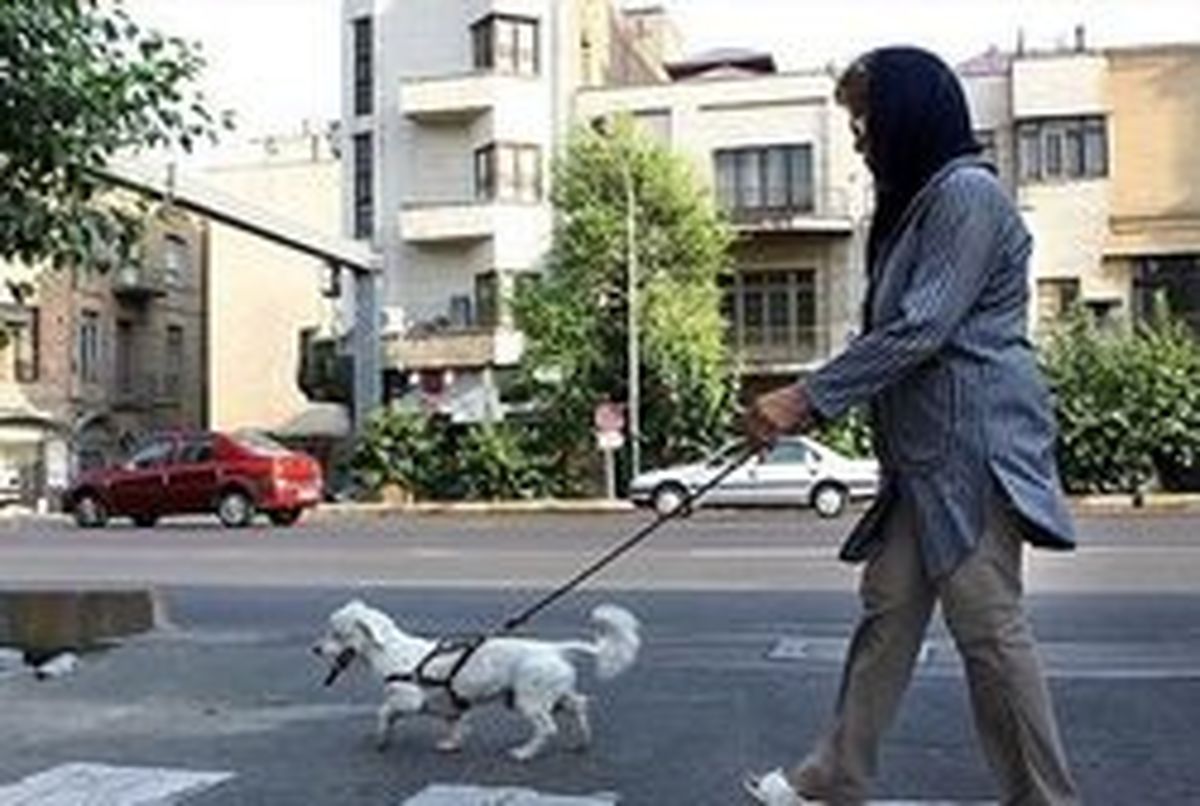 حکم نگهداری از سگ‌های زینتی