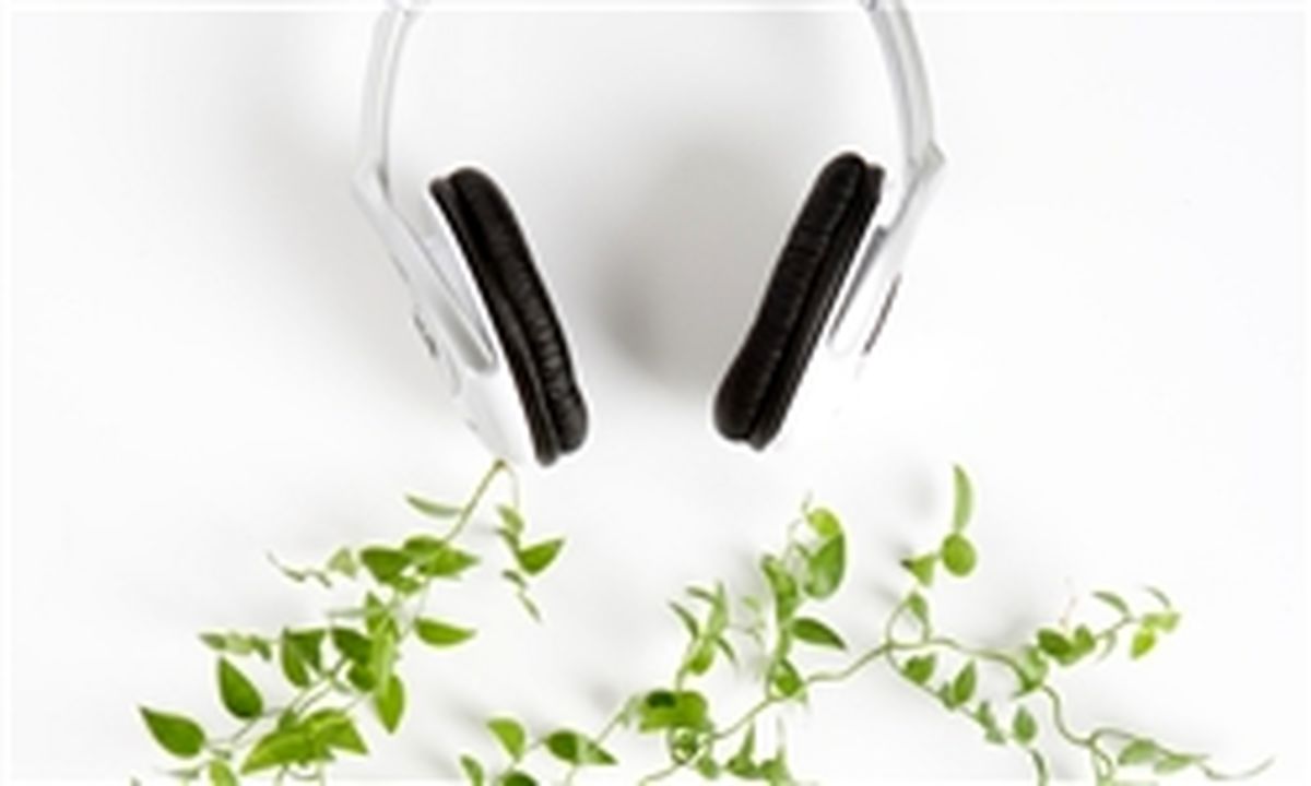 برای گیاهان خود موسیقی پخش کنید
