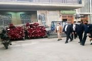 آخرین اقدامات انجام شده به منظور مرمت و بازسازی مسجد تاریخی ارک