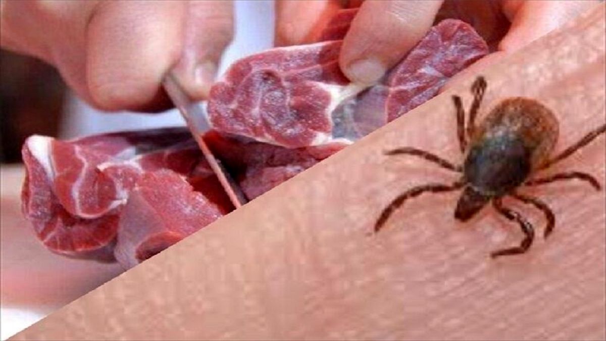 افراد از خوردن جگر خام و نیم‌پخته اجتناب کنند
