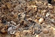 5 گور جمعی متعلق به مسلمانان روهینگیا در میانمار کشف شد