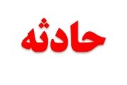 
واژگونی سواری دنا، دو کشته و دو مجروح بر جای گذاشت
