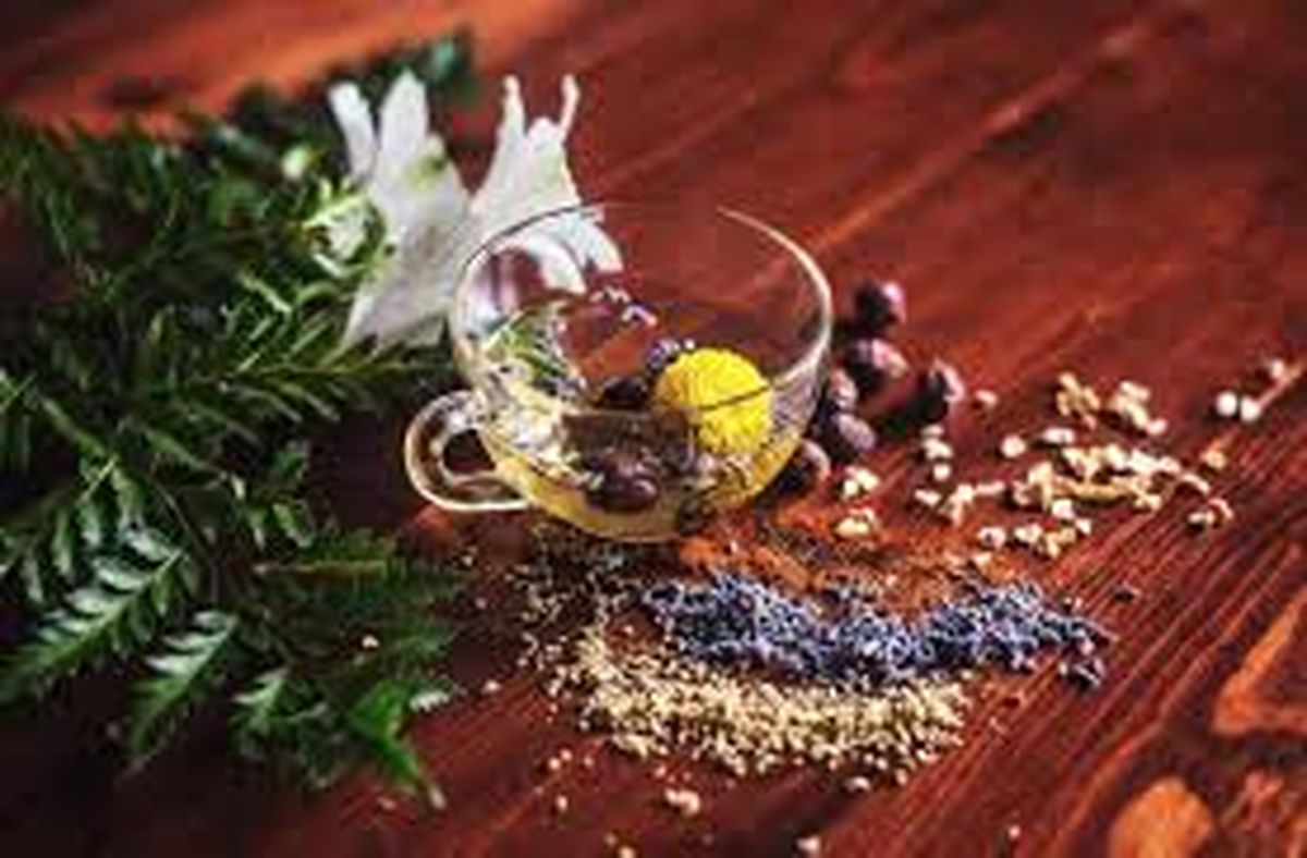 ضرر مصرف خودسرانه دمنوش‌های گیاهی برای کلیه
