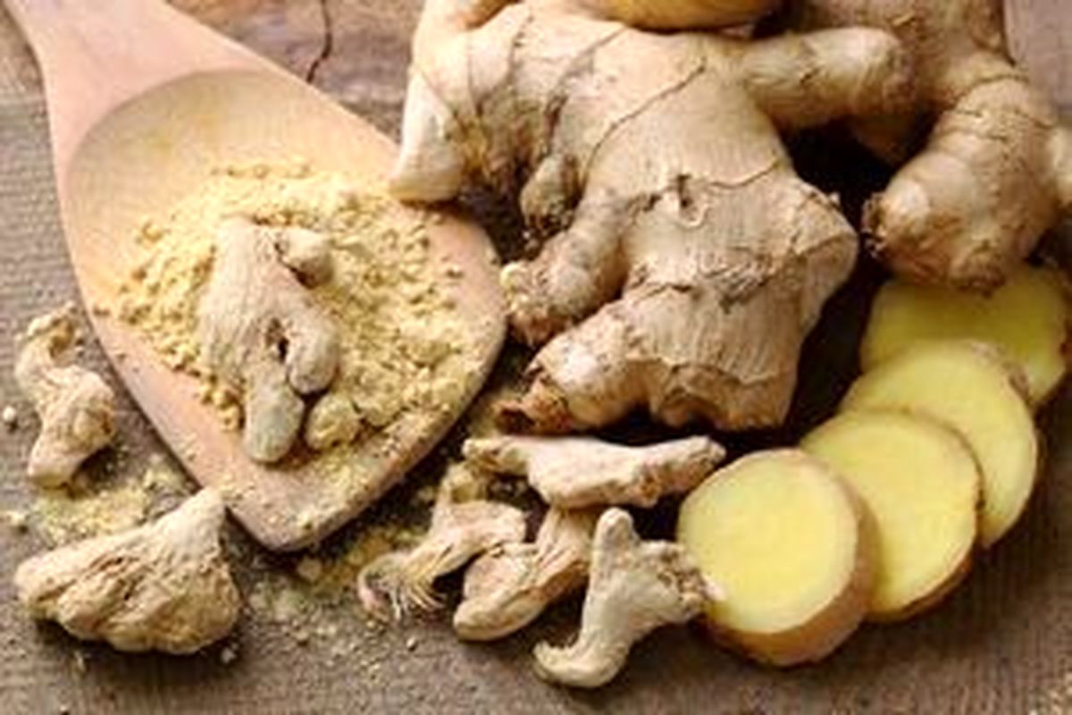 ۲۸ بهترین داروی گیاهی برای رشد مو