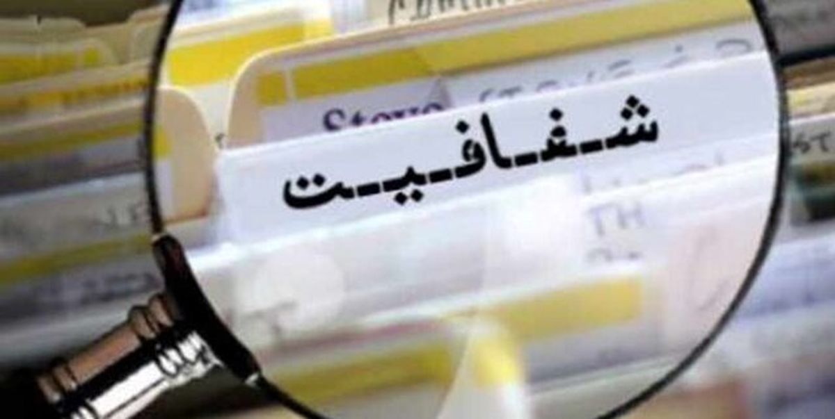 شفافیت‌ آرا مانع بروز زدوبندها و لابی‌گری‌ها می‌شود