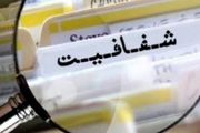 شفافیت‌ آرا مانع بروز زدوبندها و لابی‌گری‌ها می‌شود