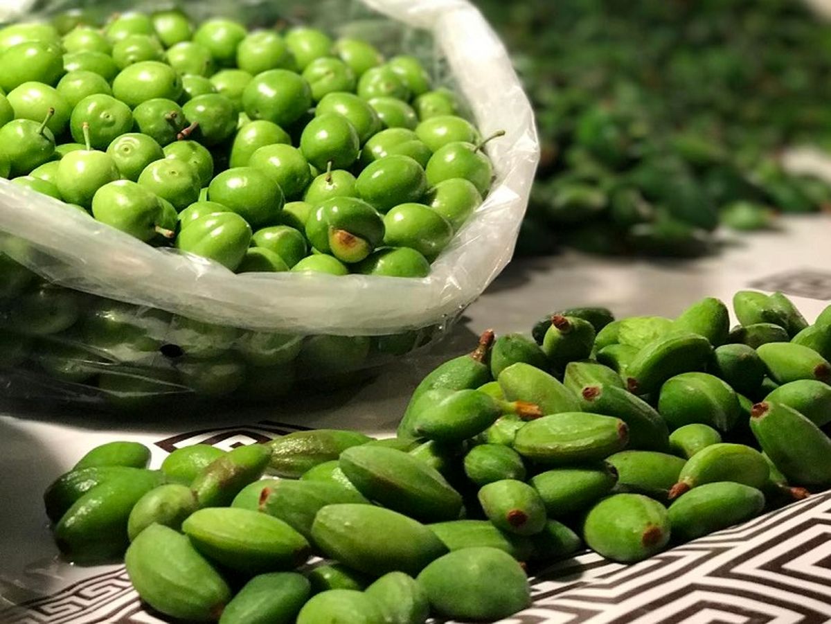 درمان آفت با چاقاله‌ بادام 